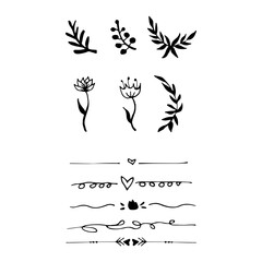 Flower and leaves branch