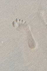 Fototapeta na wymiar A footprint on the beach of the sea