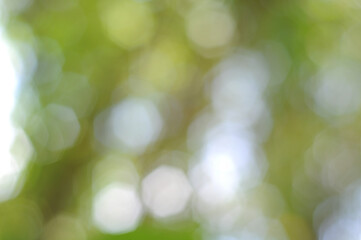 Obraz premium green bokeh background used to make cards for the new year festival on valentines day, birthday, poster, christmas