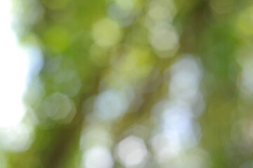 green bokeh background used to make cards for the new year festival on valentines day, birthday, poster, christmas