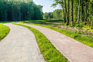 new modern road through the forest