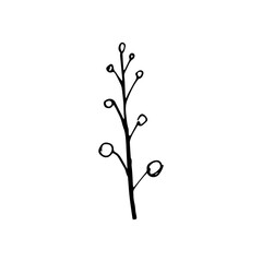 Hand drawing flower and leaves branch