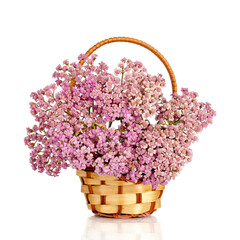 Pink flower. Bouquet