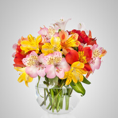 Alstroemeria flowers in vase 