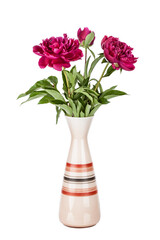 Red peony flower in vase isolated on white