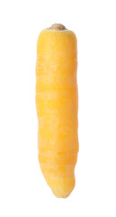 Fresh raw yellow carrot isolated on white