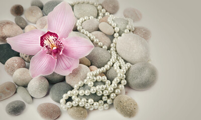 Obraz na płótnie Canvas Orchid flower and pearl jewel