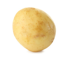Fresh raw organic potato isolated on white