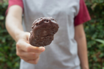 Ice cream covered with chocolate and nuts