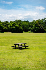 公園の芝生にある木製テーブルとベンチ ピクニックイメージ