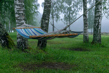 fog landscape in the morning with colorful fabric hammocks in the birch grove