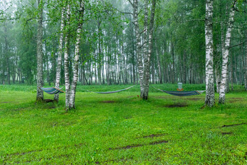 fog landscape in the morning with a picnic place on the lake shore