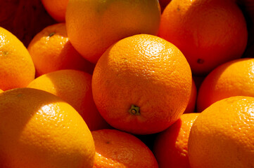 Closeup of a group of big fresh oranges