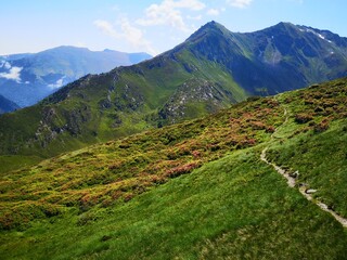 sentiers pyrénéens