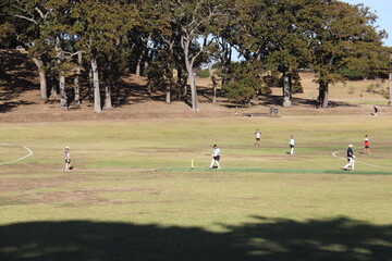 Fototapeta na wymiar Joueurs de cricket, parc à Auckland, Nouvelle Zélande 
