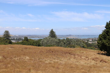 Colline Maungakiekie, parc Cornwall à Auckland, Nouvelle Zélande