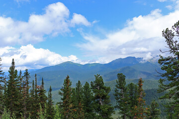 Summer forest landscape in the Sayan mountains. Nature Park Ergaki, Russia, Siberia.