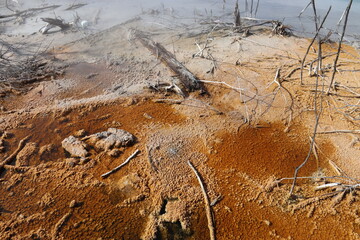 Source chaude du Parc Kuirau à Rotorua, Nouvelle Zélande