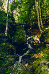 Wandern Sie entlang der gurgelnden Ysper, vorbei an mächtigen Granitformationen, Kaskaden und imposanten Wasserfällen. Im oberen Teil des leichten Abstiegsweges beschenkt Sie ein Aussichtspunkt mit ei