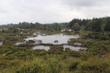 Lac d'eau chaude à Whakarewarewa, Nouvelle Zélande	