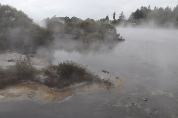 Source chaude à Whakarewarewa, Nouvelle Zélande