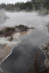 Source chaude à Whakarewarewa, Nouvelle Zélande