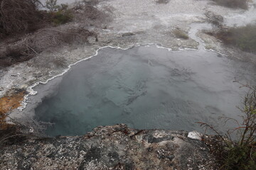 Source chaude à Whakarewarewa, Nouvelle Zélande