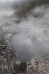 Source chaude à Whakarewarewa, Nouvelle Zélande
