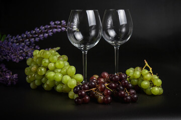 Still life on a black background. A glass wine glass and grape vine. Lupins on the black.
