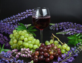 A glass of red wine stands on the table among fruits and flowers. Beautiful still life on a black background. Still life of grapes, oranges and lupins.