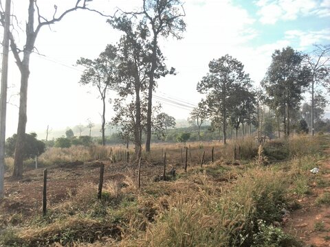 Ipp Bilder Durchsuchen 183 Archivfotos, und Videos