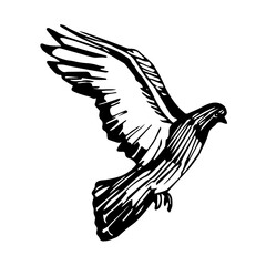 single flying city dove, for logo, emblem or decorative ornaments, vector illustration with black ink contour lines isolated on a white background in hand drawn & doodle style