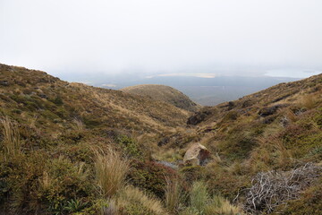 Lande du parc Tongariro, Nouvelle Zélande	