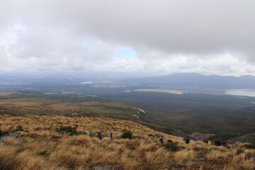 Lande du parc Tongariro, Nouvelle Zélande