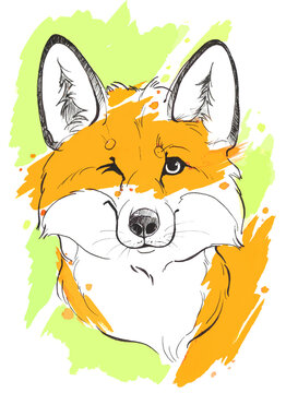 Portrait of colorful cute fox painted by watercolor isolated on white