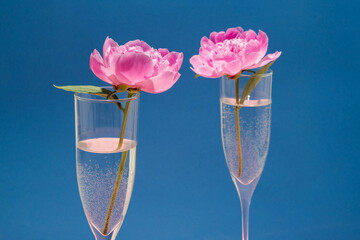 Pink peony in champagne glass at blue background