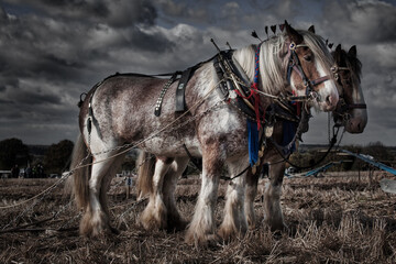 Ploughing the Fields