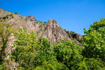 Scenic view of the Rotenfels nearby Bad Muenster am Stein Ebernburg
