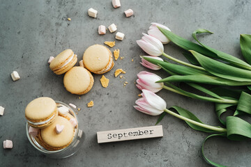 Fototapeta na wymiar Flat Lay Background of Fresh Tulips, Yellow French Macarons and Calendar September on the Table