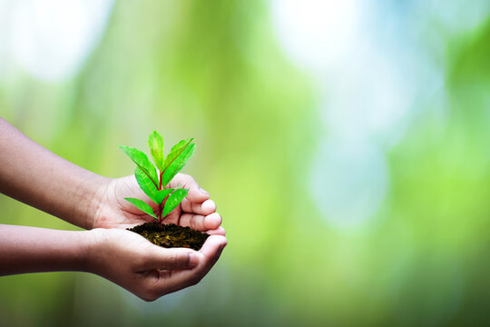 132 Best Hd Car Wallpapers Images Stock Photos Vectors Adobe Stock