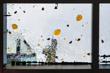 Falled autumn leaves on the wet glass ceiling