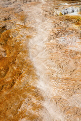 Mammoth hot springs