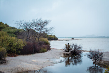 Rainy day at lake Rotorua. Coastline shrubbery over rocks.