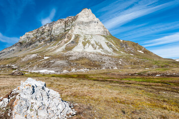 Alkehornet, Spitsbergen West coast, Svalbard archipelago, Norway