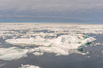 Pack Ice, Barents Sea, Spitsbergen East coast, Svalbard archipelago, Norway