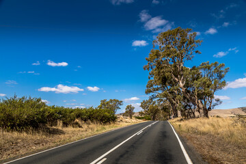 A lonesome road leading through the Grampians national park in Victoria, Australia at a cloudy day in summer.