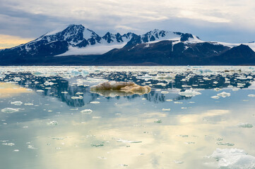 Fototapeta na wymiar Lilliehook glacier in Lilliehook fjord a branch of Cross Fjord, Spitsbergen Island, Svalbard archipelago, Norway