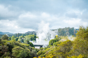 Clouds of hot steam rising from geysers and hot springs in mountains near Rotorua, New Zealand.