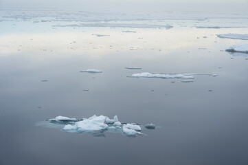 Arctic Ocean 81°North, Svalbard archipelago, Norway, Europe
