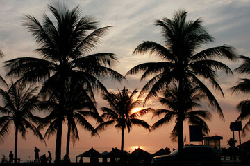 Obraz premium sunset on the beach